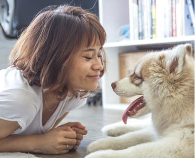 Hospital Veterinário Santa Cecília